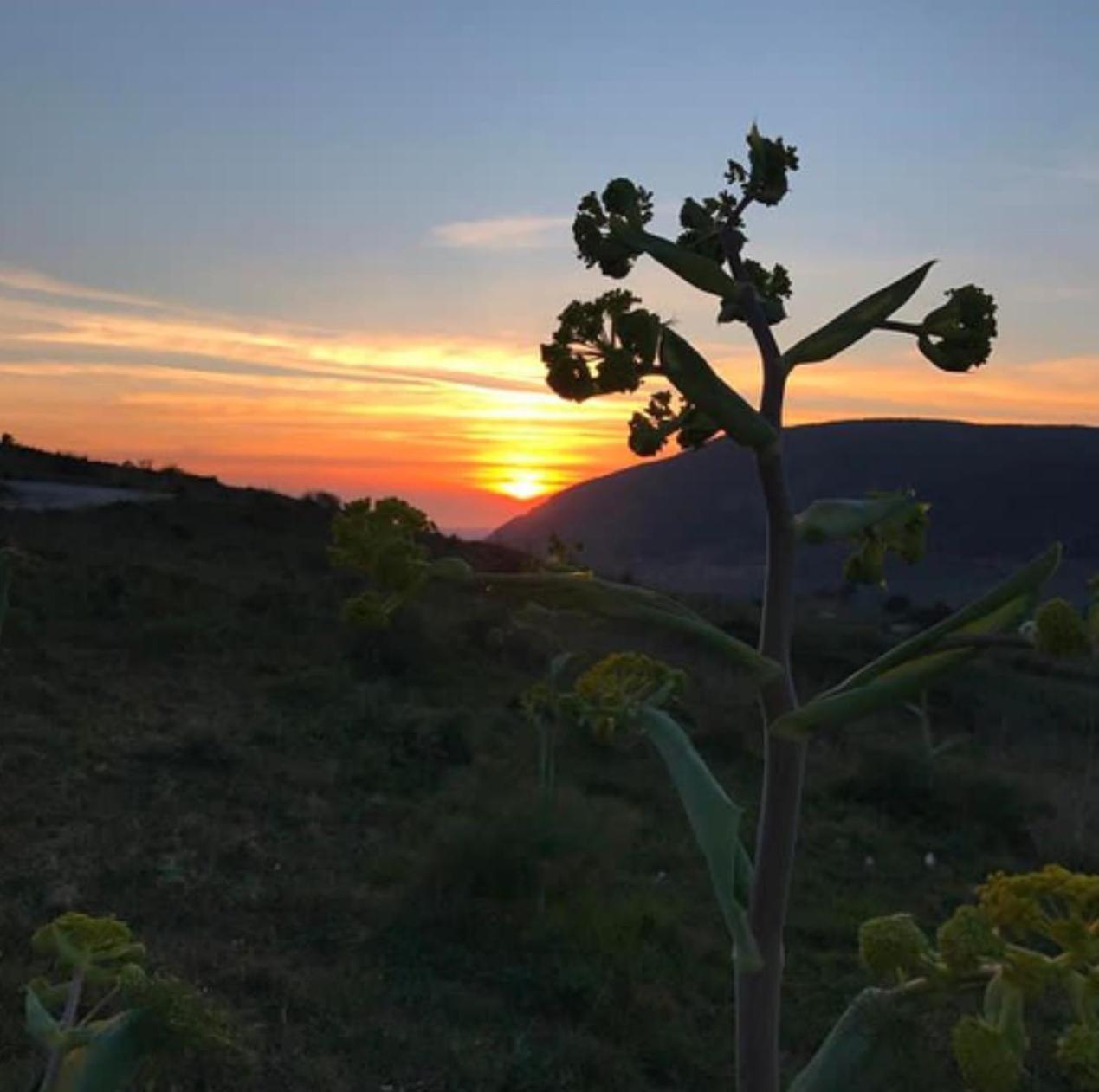 Bed and Breakfast In Sicilia Da Ciro Vita Exterior foto